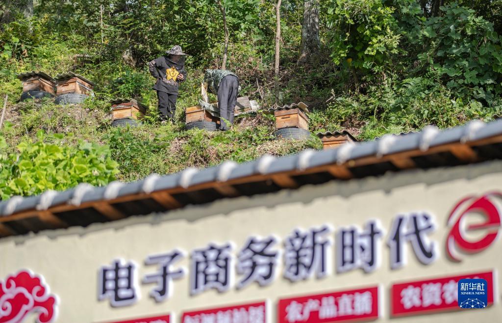 捕鱼大圣闹海